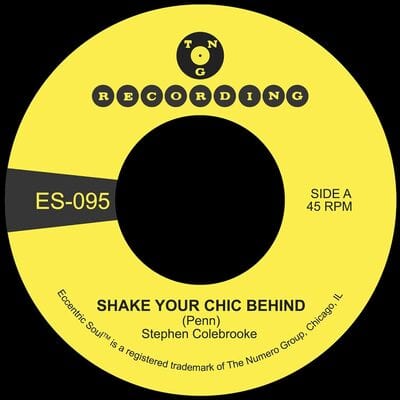 Shake Your Chic Behind/Stay Away from Music - Stephen Colebrooke [VINYL]