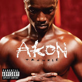 Trouble - Akon [VINYL]