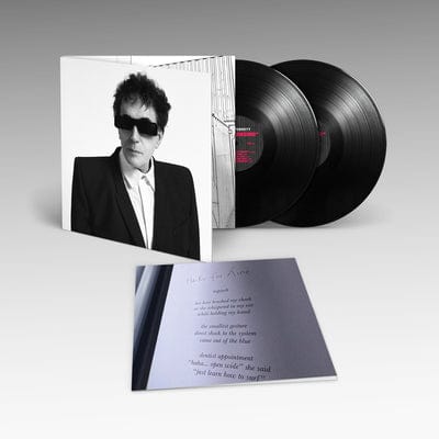 The Cleansing - Peter Perrett [VINYL]