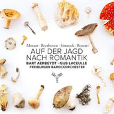 Auf Der Jagd Nach Romantik - Bart Aerbeydt [CD]