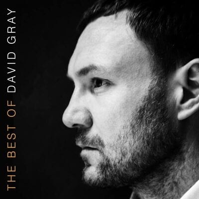 The Best of David Gray - David Gray [VINYL]