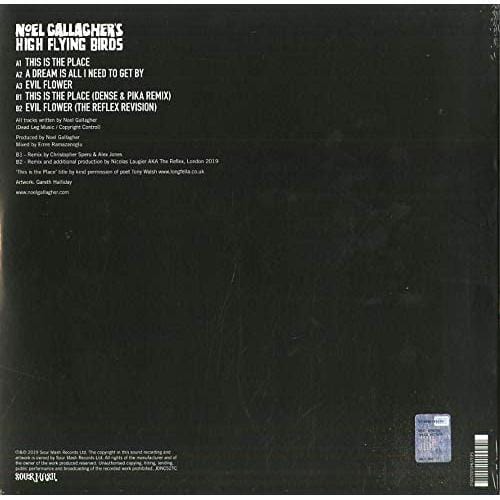 THIS IS THE PLACE - NOEL GALLAGHER [VINYL]