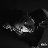 GREY AREA - LITTLE SIMZ [Vinyl]