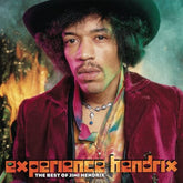 Experience Hendrix: The Best of Jimi Hendrix - The Jimi Hendrix Experience [VINYL]