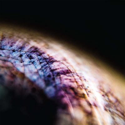 Skin:   - Emptyset [VINYL]