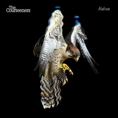 Falcon - The Courteeners [VINYL Limited Edition]