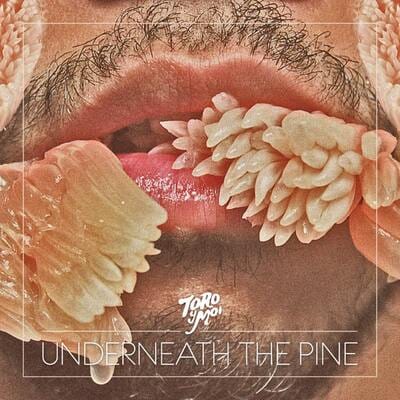 Underneath the Pine - Toro Y Moi [VINYL Limited Edition]