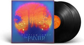 The Painter:   - William Orbit [VINYL]