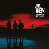 Exorcism of Youth - The View [VINYL]